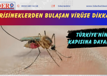 Sivrisineklerden bulaşan virüse dikkat! Türkiye’nin kapısına dayandı