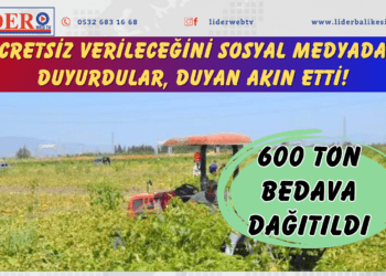 Ücretsiz verileceğini sosyal medyadan duyurdular, duyan akın etti! 600 ton bedava dağıtıldı