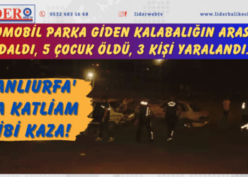 Şanlıurfa’da katliam gibi kaza! Otomobil parka giden kalabalığın arasına daldı, 5 çocuk öldü, 3 kişi yaralandı