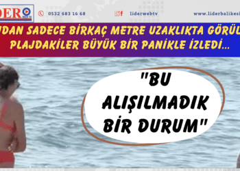 Kıyıdan sadece birkaç metre uzaklıkta görüldü! Plajdakiler büyük bir panikle izledi… “Bu alışılmadık bir durum”