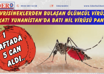 Sivrisineklerden bulaşan ölümcül virüse dikkat! Yunanistan’da Batı Nil Virüsü paniği: 1 haftada 5 can aldı..