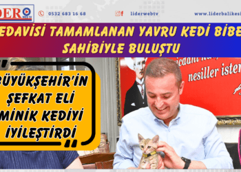 Tedavisi tamamlanan yavru kedi Biber sahibiyle buluştu