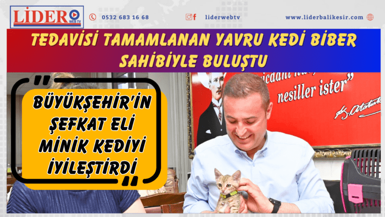 Tedavisi tamamlanan yavru kedi Biber sahibiyle buluştu