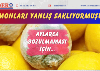 Limonları yanlış saklıyormuşuz! Aylarca bozulmaması için…