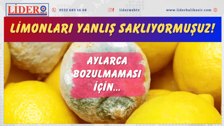 Limonları yanlış saklıyormuşuz! Aylarca bozulmaması için…