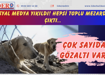 Sosyal medya yıkıldı! Hepsi toplu mezardan çıktı… Çok sayıda gözaltı var