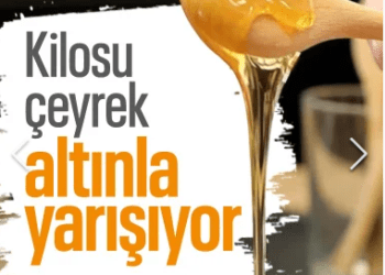 KİLOSU ALTINLA YARIŞIYOR