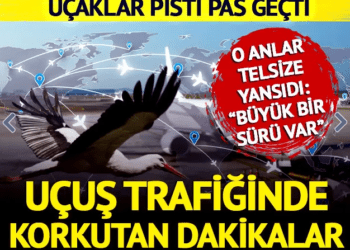 1 MİLYON LEYLEK GÖÇ EDECEK