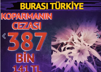 Koparmanın cezası 387 bin 141 TL