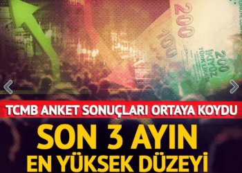 Merkez Bankası enflasyon beklentisi anket sonuçlarını açıklandı!