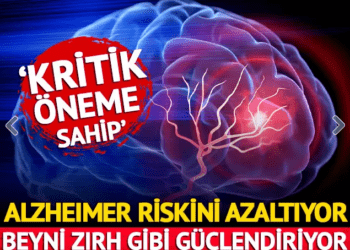 ‘Kritik öneme sahip’ Sağlıklı beyin için 10 süper gıda!