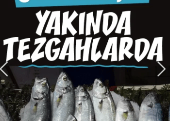 Bu sezon palamuttaki artışla birlikte balık tüketiminin de artması bekleniyor