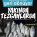 Bu sezon palamuttaki artışla birlikte balık tüketiminin de artması bekleniyor