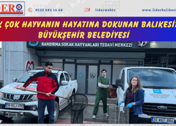 Ağaçta mahsur kalan yaralı martının imdadına itfaiye yetişti
