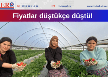 Fiyatlar düştükçe düştü!