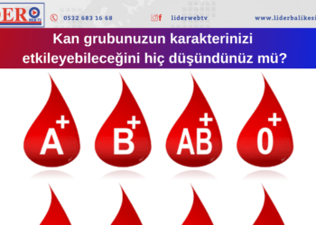 Bilim Konuşuyor: Hangi Kan Grubu Daha Sinirli Tavırlara Sebep Oluyor?