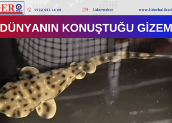 İNANILMAZ BİRŞEY OLDU!