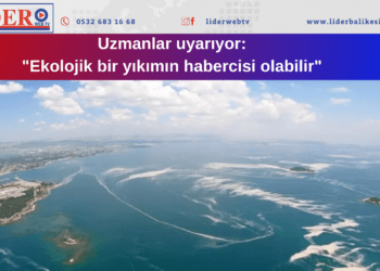 Marmara’nın müsilaj kabusu Ege’ye sıçradı! 