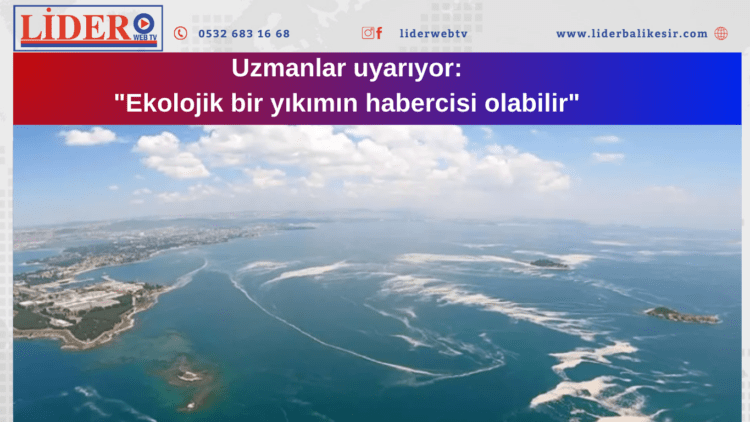 Marmara’nın müsilaj kabusu Ege’ye sıçradı!