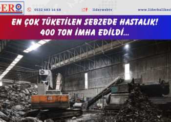 En çok tüketilen sebzede hastalık! 400 ton imha edildi…