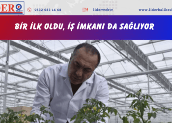 ‘6 milyon dolar para ilimize girecek’