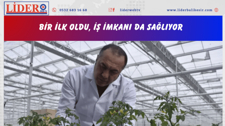 ‘6 milyon dolar para ilimize girecek’