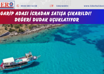 Garip Adası icradan satışa çıkarıldı! Değeri dudak uçuklatıyor