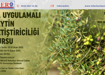 BAÇEM’de zeytin yetiştiriciliği kursu başlıyor