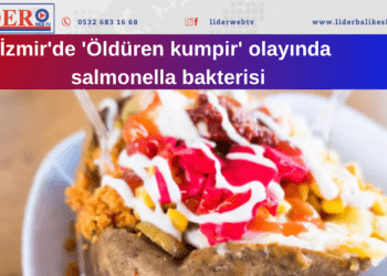 İzmir’de ‘Öldüren kumpir’ olayında salmonella bakterisi