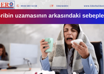 Gribin uzamasının arkasındaki sebepler: Virüsler çiftleşti!