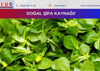 Doğal şifa kaynağı!