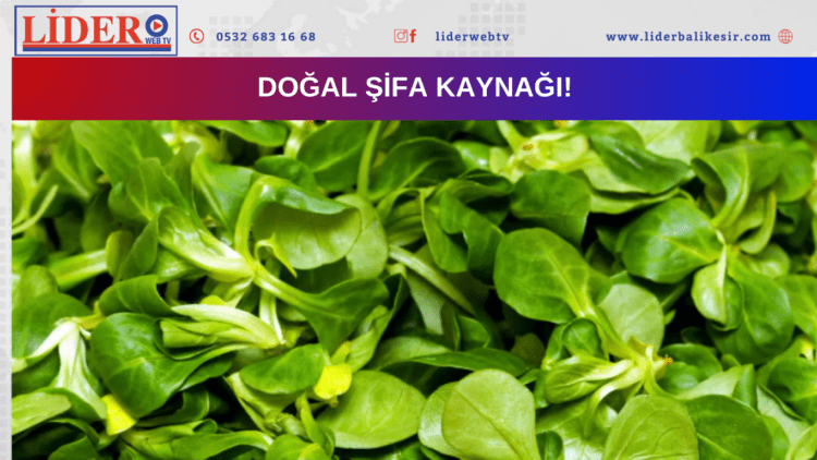 Doğal şifa kaynağı!