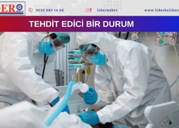 Daha önce hiç görülmemiş bir virüs bulundu! 
