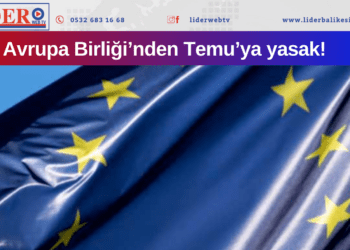 Avrupa Birliği’nden Temu’ya yasak!