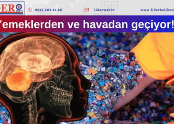 İnsan beyninde bir kaşık dolusu plastik bulundu! 
