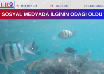 Bunu yapmak için kilometrelerce yol gitti…
