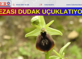 Bu çiçeği koparan yandı!