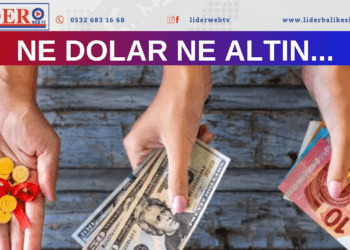 Ne dolar ne altın…