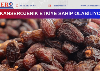 Kanserojenik etkiye sahip olabiliyor