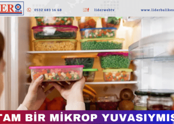 ‘Hayatınızdan çıkarın’ Ciddi risk taşıyor!