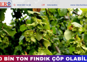Karadeniz’de çifte tehdit