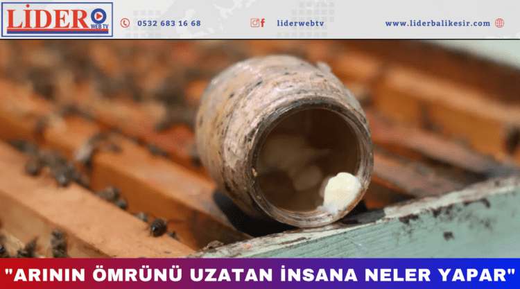 Çay kaşığı kadar ancak bedeli 45 bin TL!
