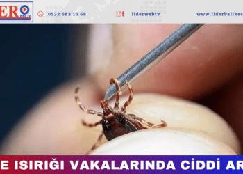 Kene ısırığı vakalarında ciddi artış!