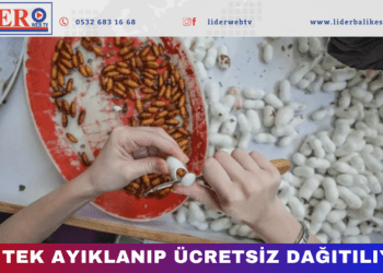 Türkiye’de başka yok, dünyada 5-6 tane var