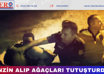 ‘Benzin alıp ağaçları tutuşturdum’