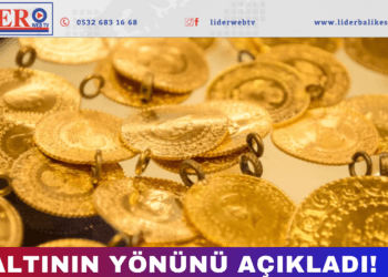 Yükseliş için kritik yorum 