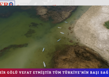 Türkiye’nin en büyük tatlı su gölü can çekişiyor