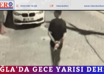 Muğla’da gece yarısı dehşet