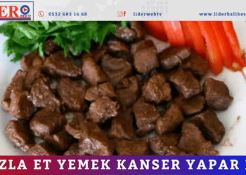 Fazla et yemek kanser yapar mı?