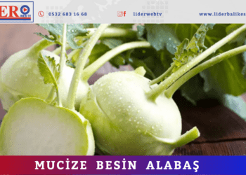 Mucize besin Alabaş